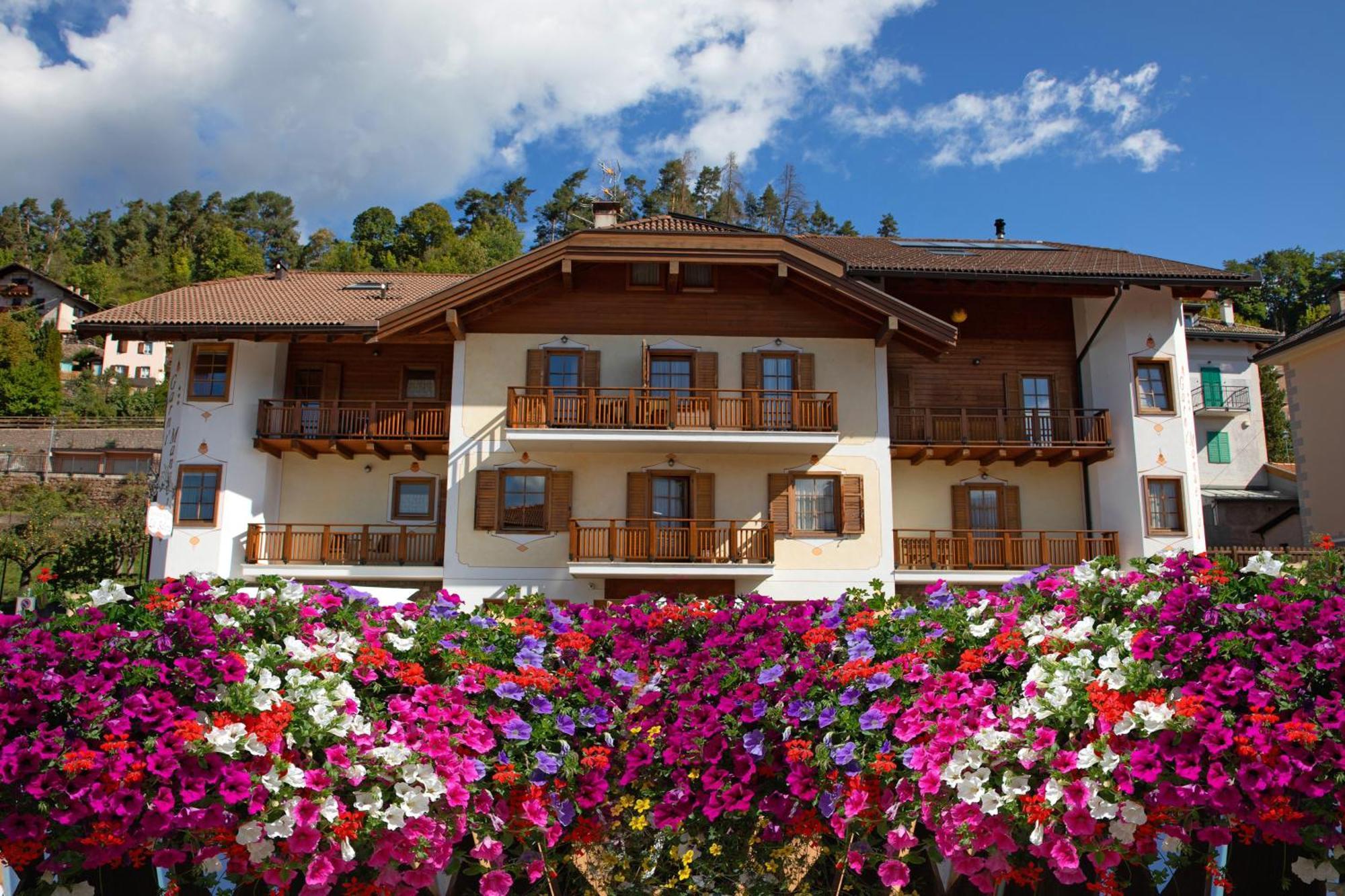 Residence Garni Manuela Cavalese Εξωτερικό φωτογραφία